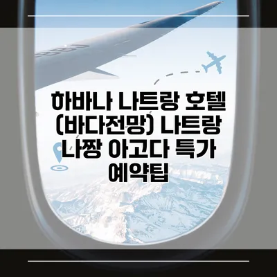 하바나 나트랑 호텔 (바다전망) 나트랑 나짱 아고다 특가 예약팁