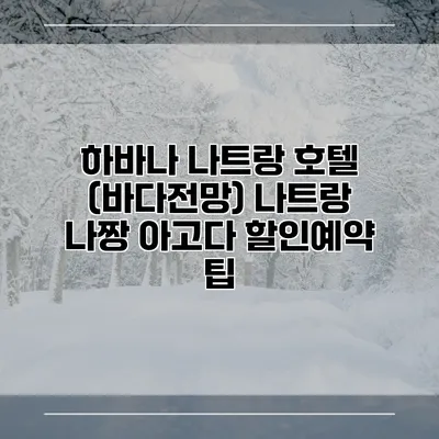 하바나 나트랑 호텔 (바다전망) 나트랑 나짱 아고다 할인예약 팁