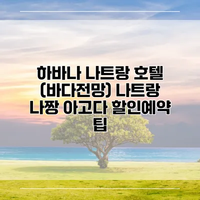 하바나 나트랑 호텔 (바다전망) 나트랑 나짱 아고다 할인예약 팁