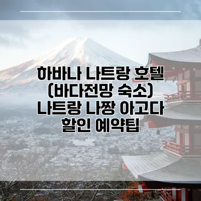 하바나 나트랑 호텔 (바다전망 숙소) 나트랑 나짱 아고다 할인 예약팁