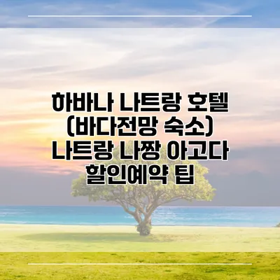 하바나 나트랑 호텔 (바다전망 숙소) 나트랑 나짱 아고다 할인예약 팁