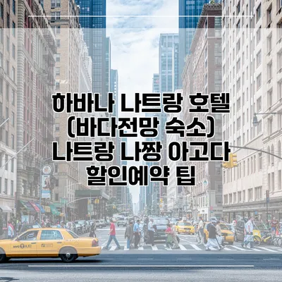 하바나 나트랑 호텔 (바다전망 숙소) 나트랑 나짱 아고다 할인예약 팁