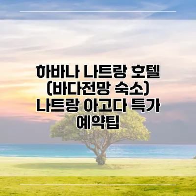 하바나 나트랑 호텔 (바다전망 숙소) 나트랑 아고다 특가 예약팁