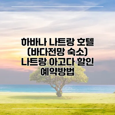 하바나 나트랑 호텔 (바다전망 숙소) 나트랑 아고다 할인 예약방법