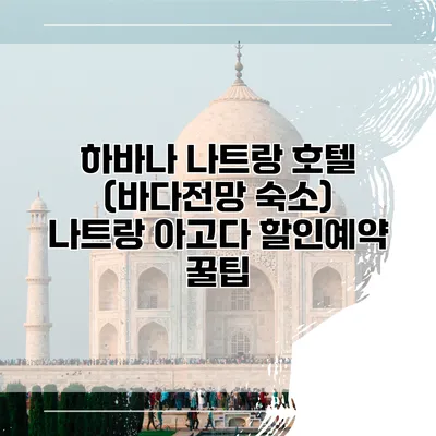 하바나 나트랑 호텔 (바다전망 숙소) 나트랑 아고다 할인예약 꿀팁