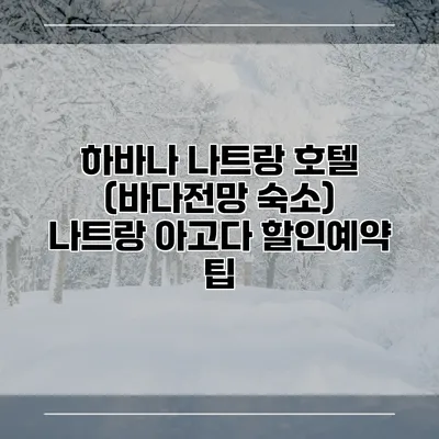 하바나 나트랑 호텔 (바다전망 숙소) 나트랑 아고다 할인예약 팁